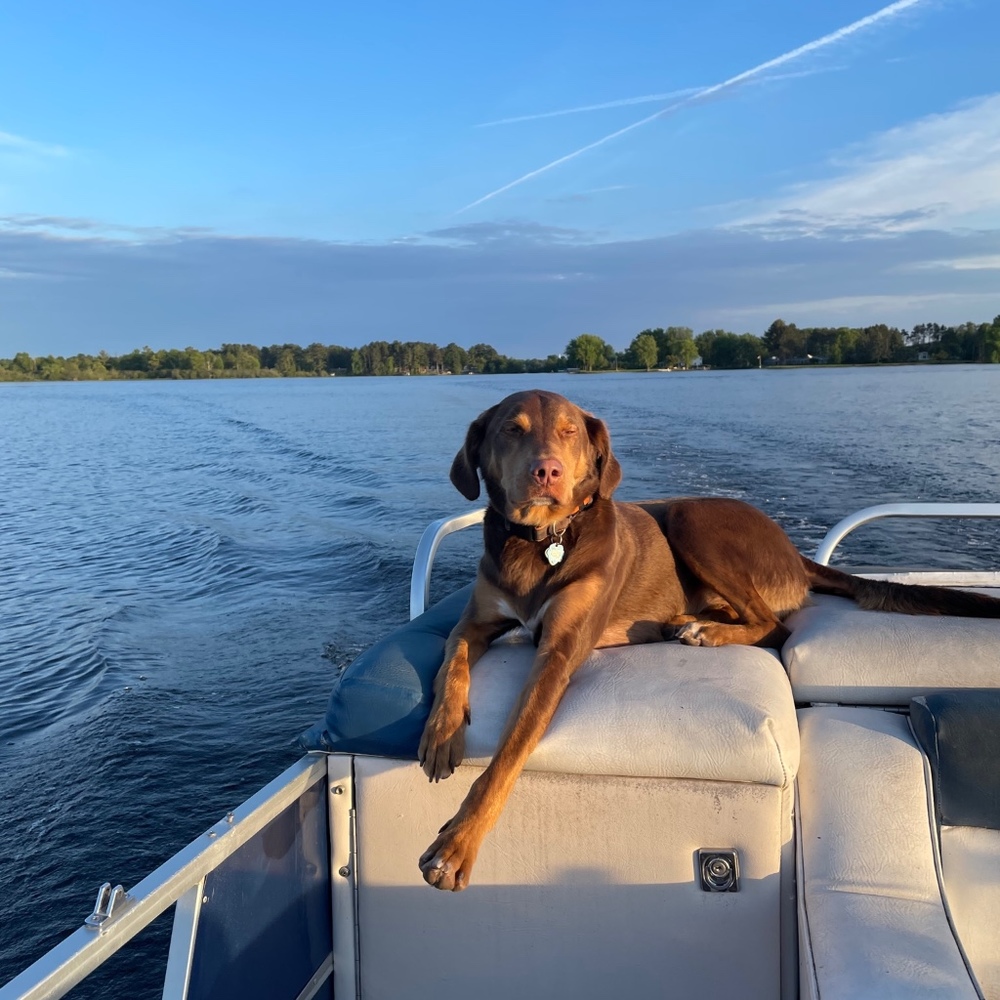 Meet your Posher, Jessica